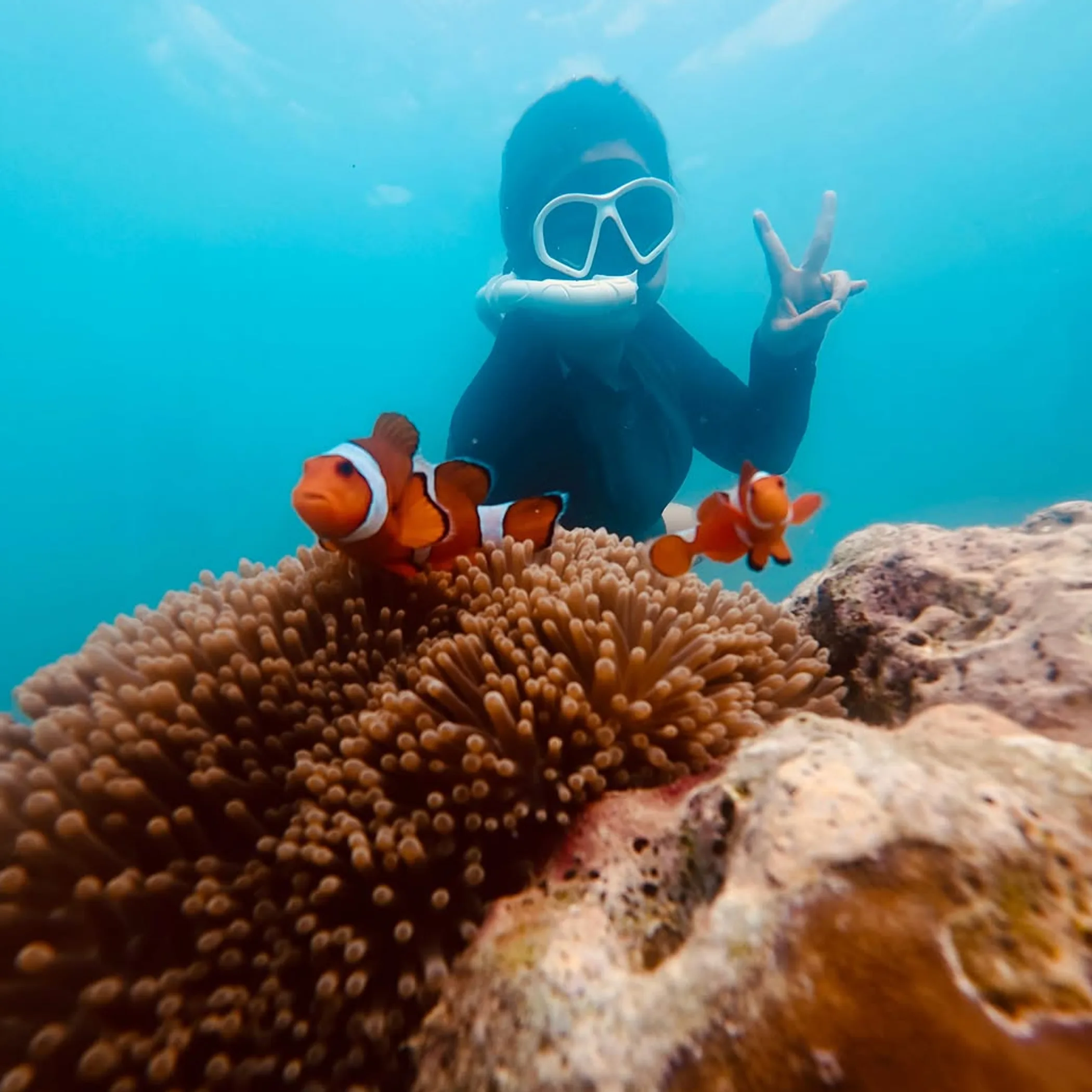 snorkeling over coral reef
