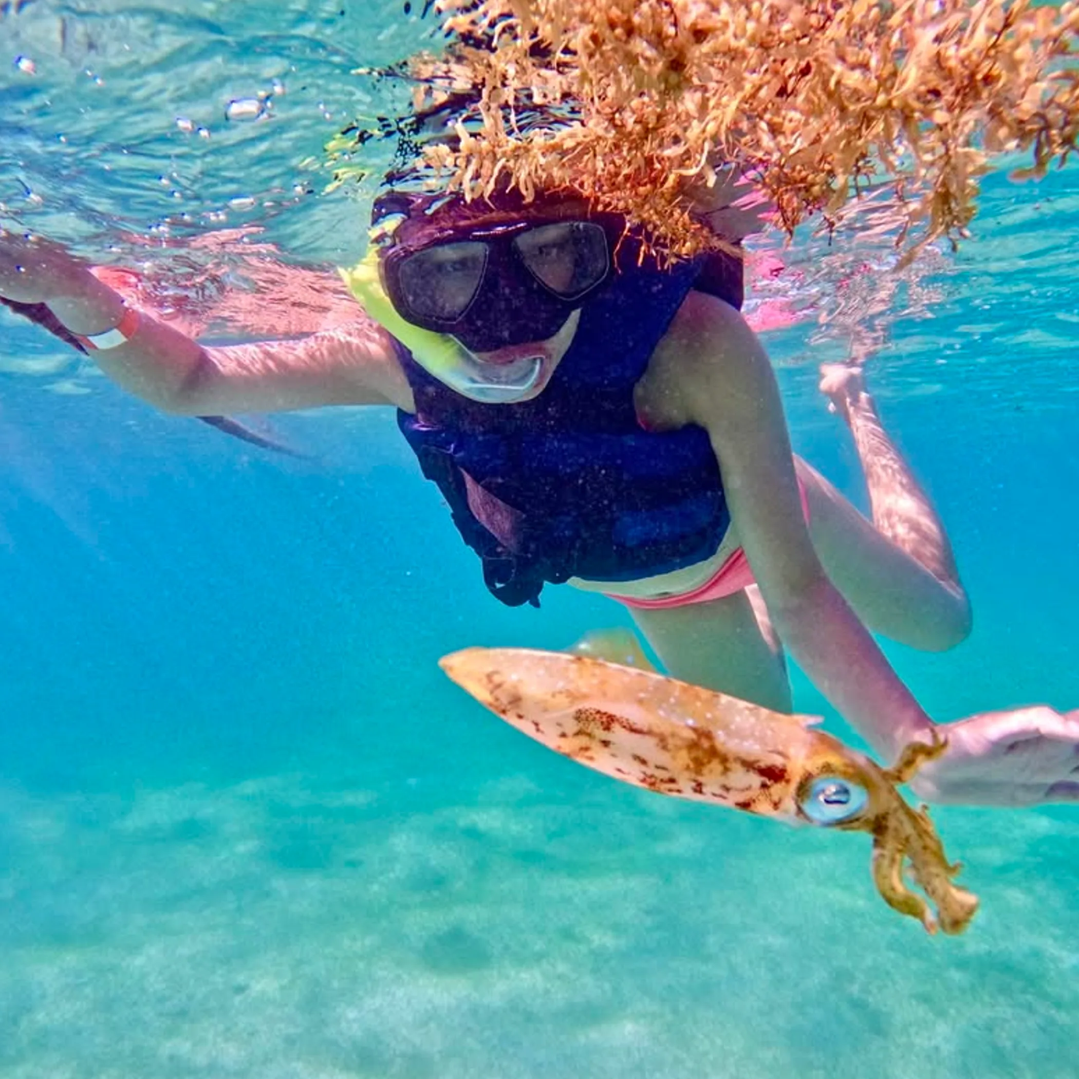 clear underwater snorkeling with fish