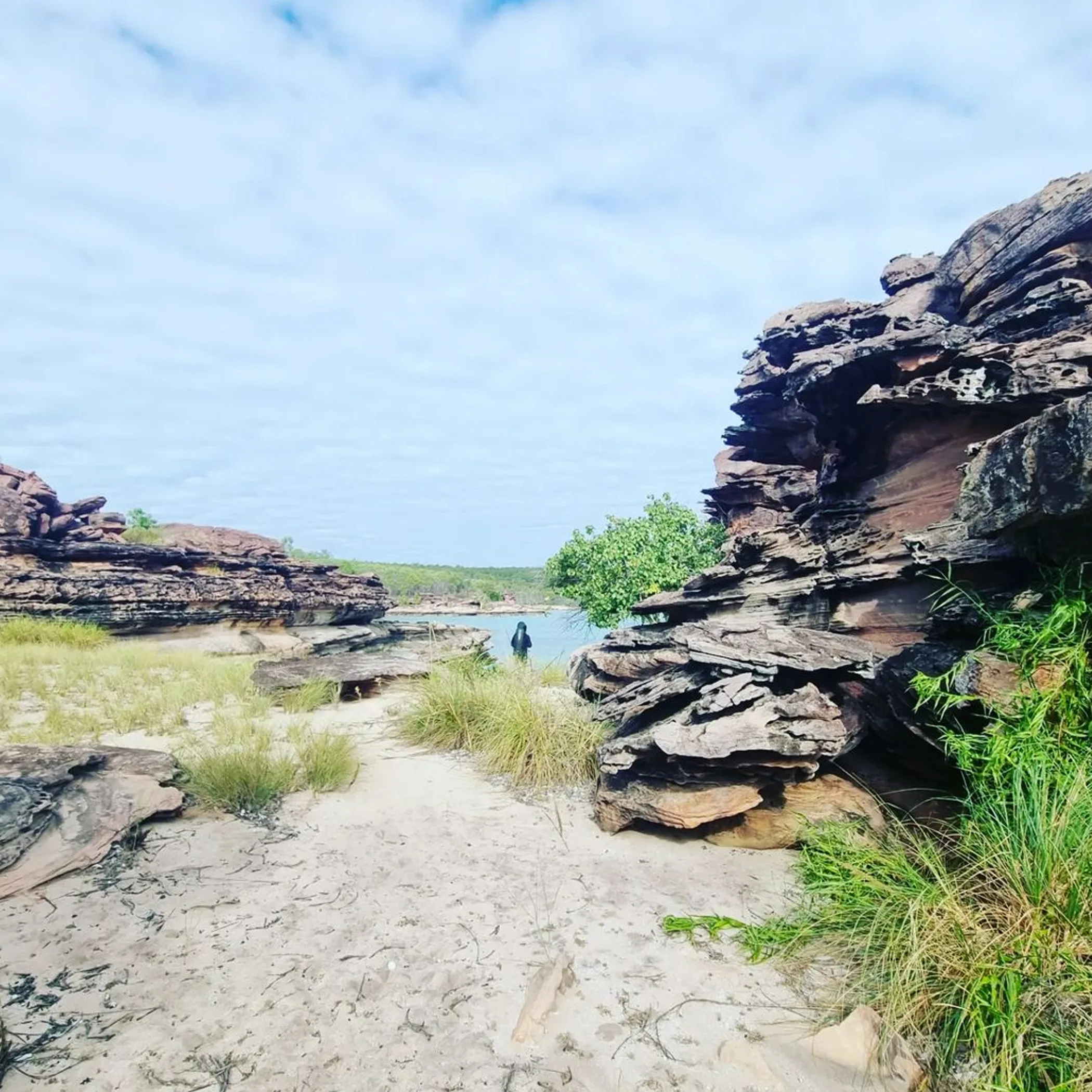 darwin australia tropical landscape