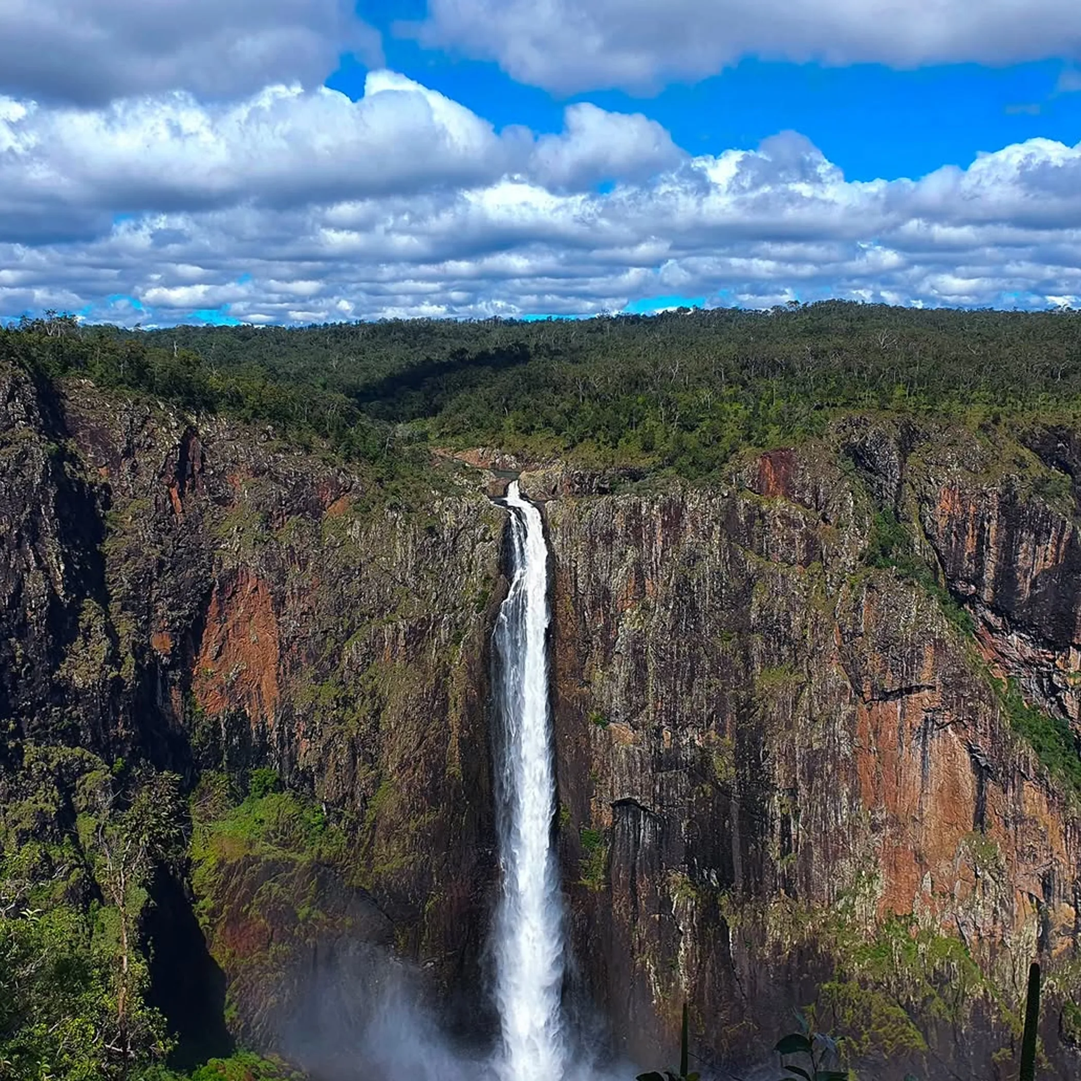 wallaman falls amid queensland rainforest