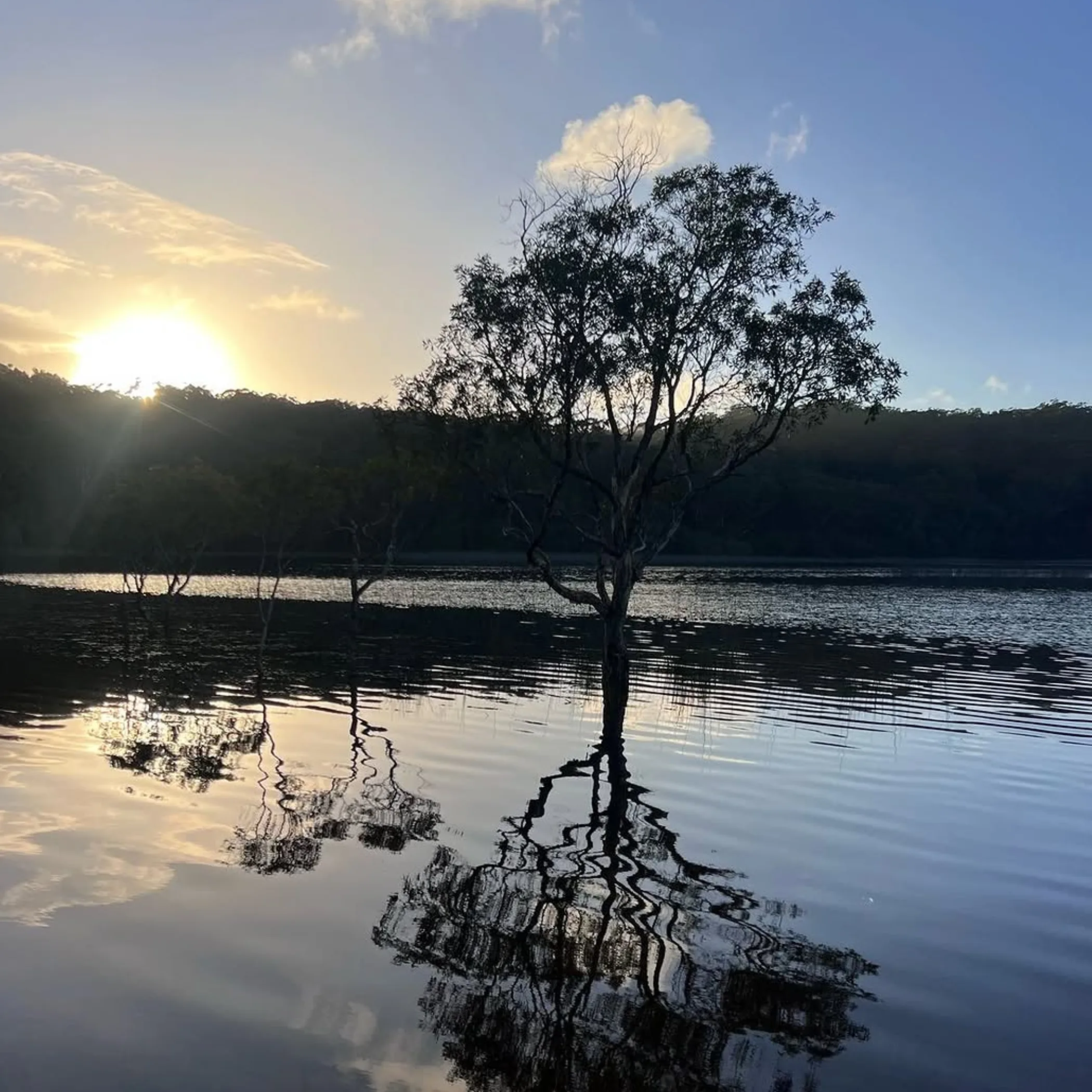 clear australian lake photograph